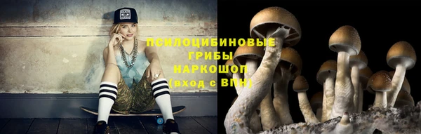 MDMA Белокуриха