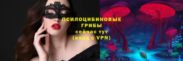 MDMA Белокуриха