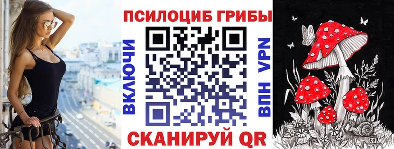 Псилоцибиновые грибы мицелий Ветлуга