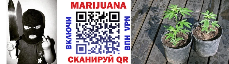 МАРИХУАНА SATIVA & INDICA где купить наркотик Ветлуга